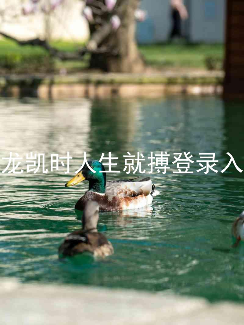 尊龙凯时人生就搏登录入口